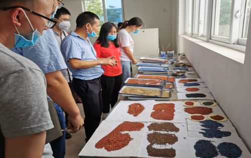 Latest company news about 첸두 공과대학 재료학부 산업-대학-연구 기반, 중국 광둥 건설 재료와 포괄적인 협력